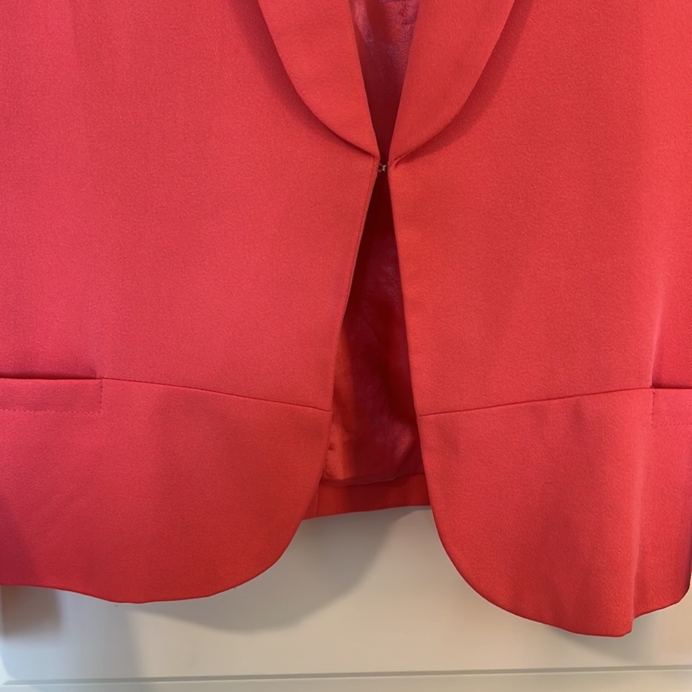 Pink Blazer - Picture 3 of 4